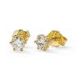 Preview: Brillant Diamant Ohrstecker 750/- Gelbgold 18 Karat Gold 0,50 Karat G/VS